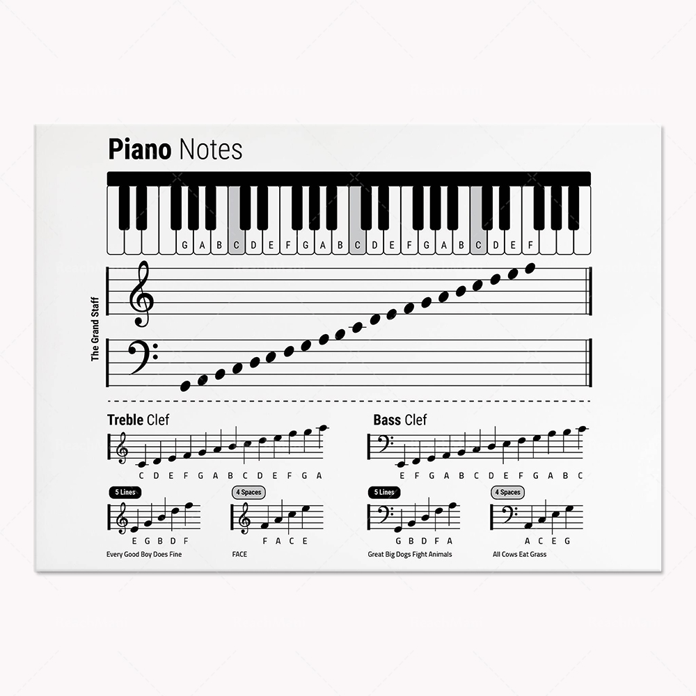 Théorie de guitare, piano, spe - Audio Into Music Sheet avis et prix